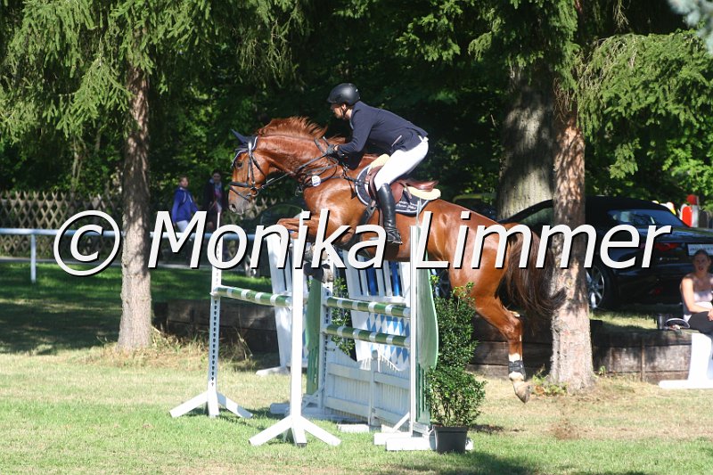 308M2853_Stil Mx_Stechen.JPG